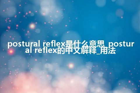 postural reflex是什么意思_postural reflex的中文解释_用法