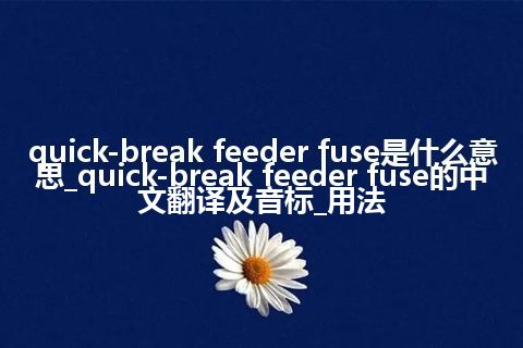 quick-break feeder fuse是什么意思_quick-break feeder fuse的中文翻译及音标_用法