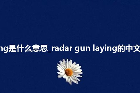 radar gun laying是什么意思_radar gun laying的中文翻译及音标_用法