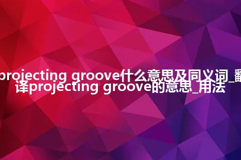 projecting groove什么意思及同义词_翻译projecting groove的意思_用法