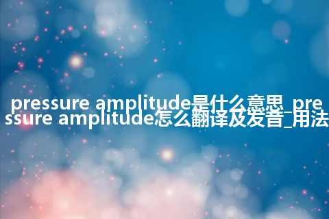 pressure amplitude是什么意思_pressure amplitude怎么翻译及发音_用法