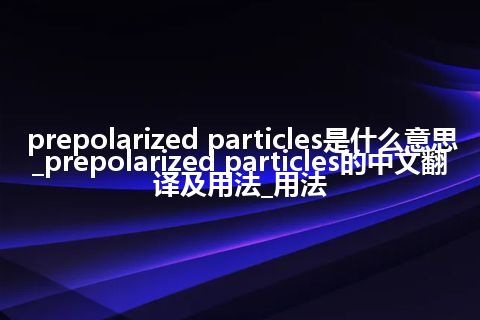 prepolarized particles是什么意思_prepolarized particles的中文翻译及用法_用法