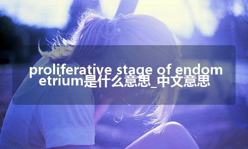 proliferative stage of endometrium是什么意思_中文意思