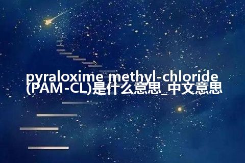 pyraloxime methyl-chloride (PAM-CL)是什么意思_中文意思