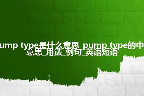 pump type是什么意思_pump type的中文意思_用法_例句_英语短语