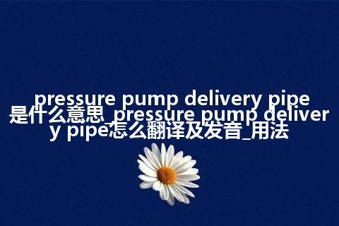 pressure pump delivery pipe是什么意思_pressure pump delivery pipe怎么翻译及发音_用法