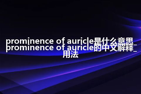 prominence of auricle是什么意思_prominence of auricle的中文解释_用法