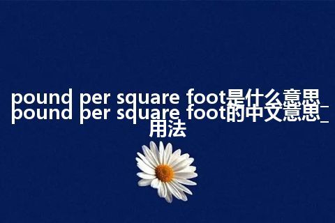 pound per square foot是什么意思_pound per square foot的中文意思_用法