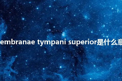 recessus membranae tympani superior是什么意思_中文意思