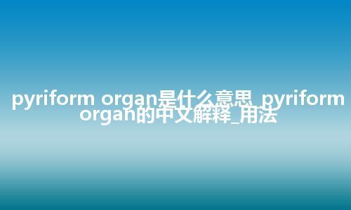 pyriform organ是什么意思_pyriform organ的中文解释_用法