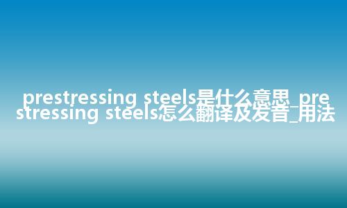 prestressing steels是什么意思_prestressing steels怎么翻译及发音_用法