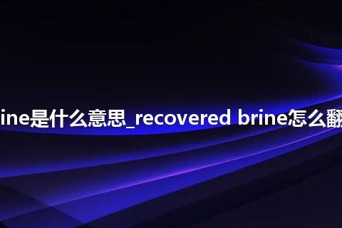 recovered brine是什么意思_recovered brine怎么翻译及发音_用法
