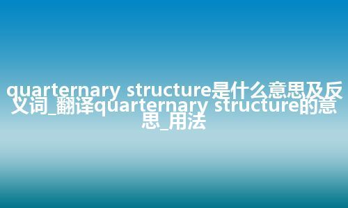 quarternary structure是什么意思及反义词_翻译quarternary structure的意思_用法