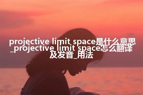 projective limit space是什么意思_projective limit space怎么翻译及发音_用法