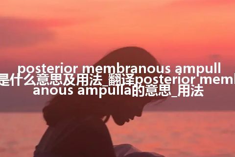 posterior membranous ampulla是什么意思及用法_翻译posterior membranous ampulla的意思_用法