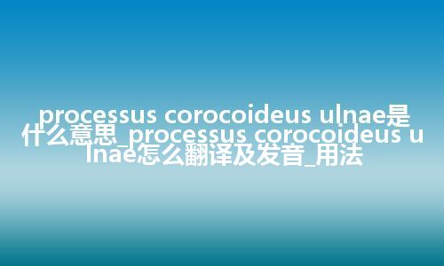 processus corocoideus ulnae是什么意思_processus corocoideus ulnae怎么翻译及发音_用法
