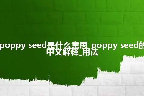 poppy seed是什么意思_poppy seed的中文解释_用法