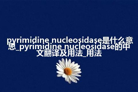 pyrimidine nucleosidase是什么意思_pyrimidine nucleosidase的中文翻译及用法_用法