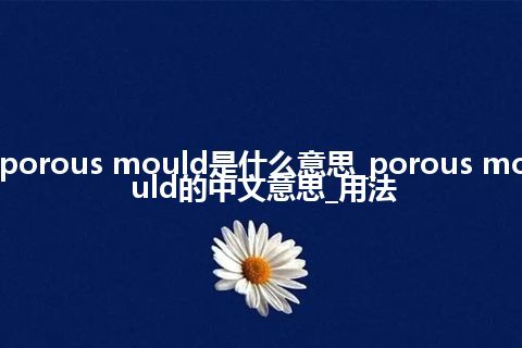 porous mould是什么意思_porous mould的中文意思_用法
