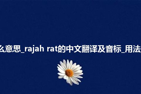rajah rat是什么意思_rajah rat的中文翻译及音标_用法_例句_英语短语