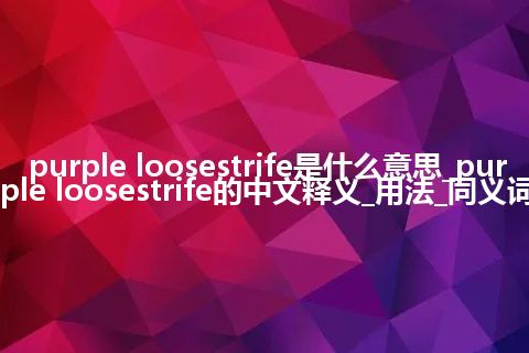 purple loosestrife是什么意思_purple loosestrife的中文释义_用法_同义词