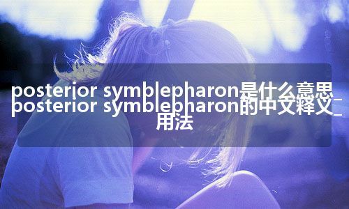 posterior symblepharon是什么意思_posterior symblepharon的中文释义_用法