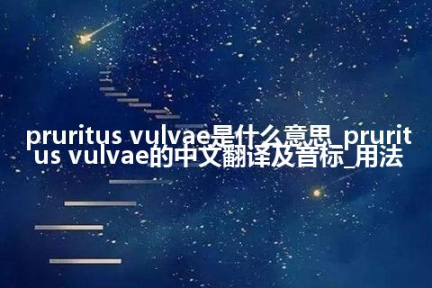 pruritus vulvae是什么意思_pruritus vulvae的中文翻译及音标_用法