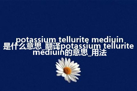 potassium tellurite mediuin是什么意思_翻译potassium tellurite mediuin的意思_用法
