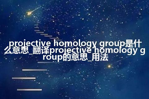projective homology group是什么意思_翻译projective homology group的意思_用法