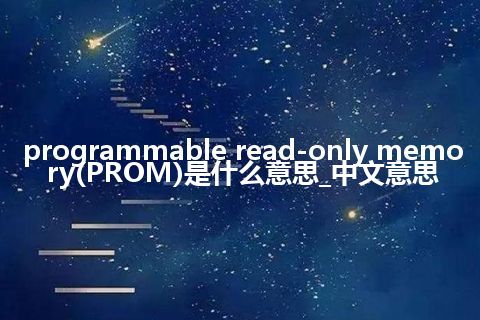 programmable read-only memory(PROM)是什么意思_中文意思