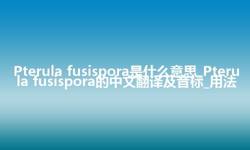 Pterula fusispora是什么意思_Pterula fusispora的中文翻译及音标_用法