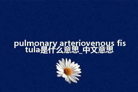 pulmonary arteriovenous fistula是什么意思_中文意思