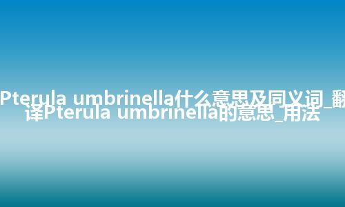 Pterula umbrinella什么意思及同义词_翻译Pterula umbrinella的意思_用法
