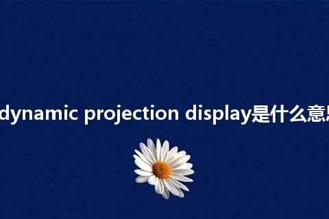 real-time dynamic projection display是什么意思_中文意思