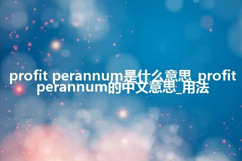 profit perannum是什么意思_profit perannum的中文意思_用法
