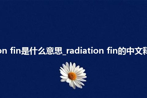 radiation fin是什么意思_radiation fin的中文释义_用法