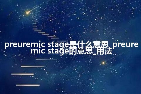 preuremic stage是什么意思_preuremic stage的意思_用法