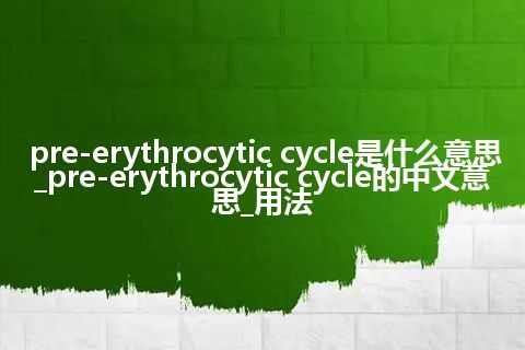 pre-erythrocytic cycle是什么意思_pre-erythrocytic cycle的中文意思_用法