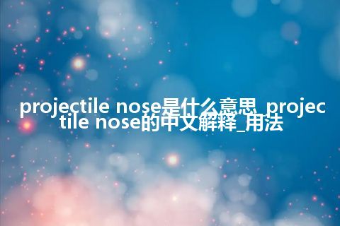 projectile nose是什么意思_projectile nose的中文解释_用法