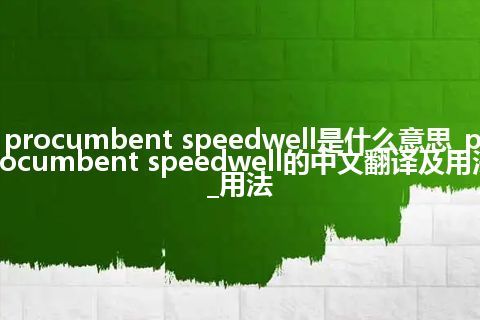 procumbent speedwell是什么意思_procumbent speedwell的中文翻译及用法_用法