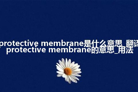 protective membrane是什么意思_翻译protective membrane的意思_用法