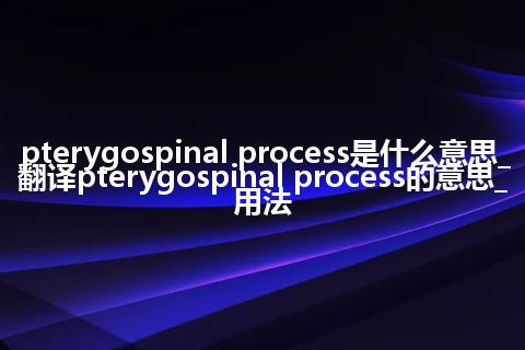 pterygospinal process是什么意思_翻译pterygospinal process的意思_用法