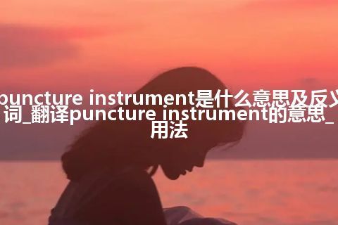 puncture instrument是什么意思及反义词_翻译puncture instrument的意思_用法