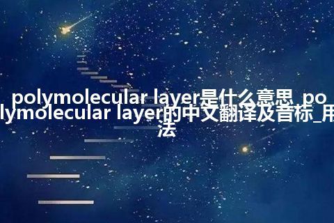 polymolecular layer是什么意思_polymolecular layer的中文翻译及音标_用法