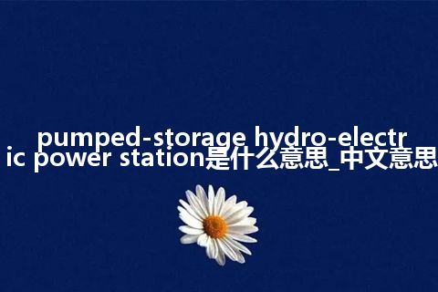 pumped-storage hydro-electric power station是什么意思_中文意思