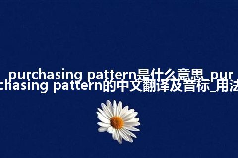 purchasing pattern是什么意思_purchasing pattern的中文翻译及音标_用法