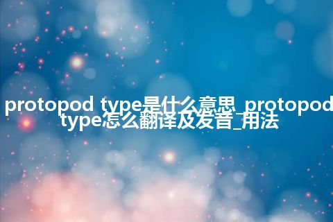 protopod type是什么意思_protopod type怎么翻译及发音_用法
