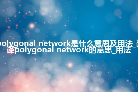 polygonal network是什么意思及用法_翻译polygonal network的意思_用法