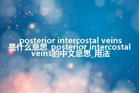 posterior intercostal veins是什么意思_posterior intercostal veins的中文意思_用法