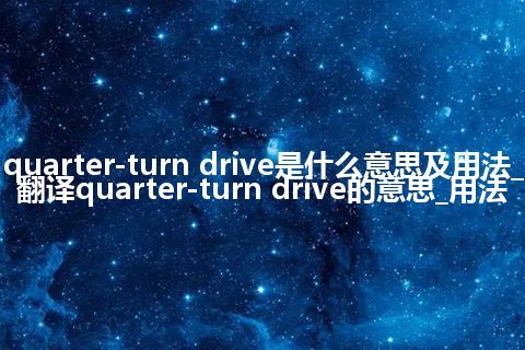 quarter-turn drive是什么意思及用法_翻译quarter-turn drive的意思_用法